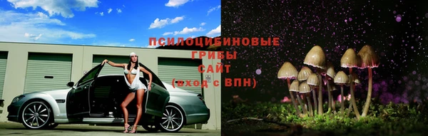 а пвп мука Аркадак