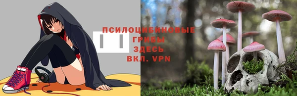 а пвп мука Аркадак