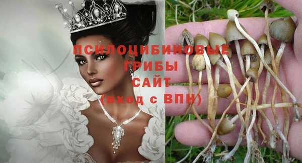 а пвп мука Аркадак