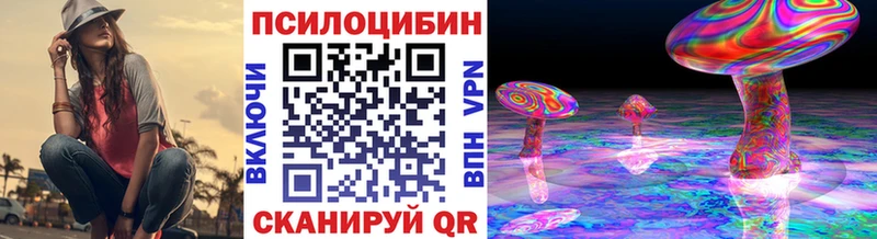 цены   Сухой Лог  Галлюциногенные грибы Cubensis 